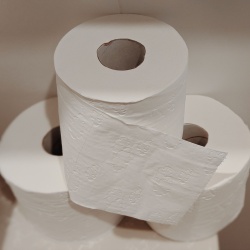 Dames WC
